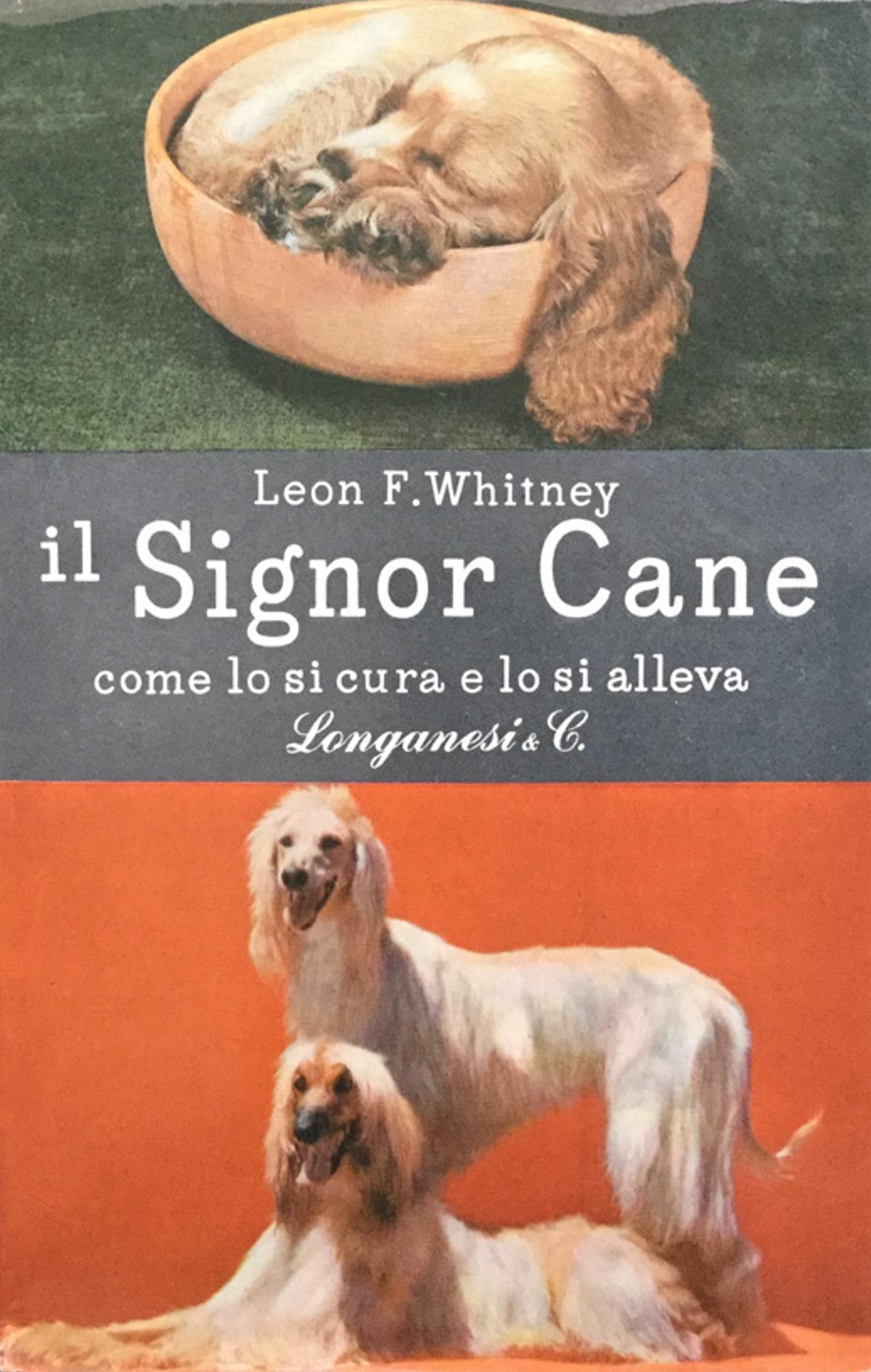 Il signor cane. Come lo si cura e lo si alleva