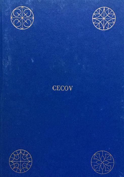 Il duello - Anton Cechov - copertina