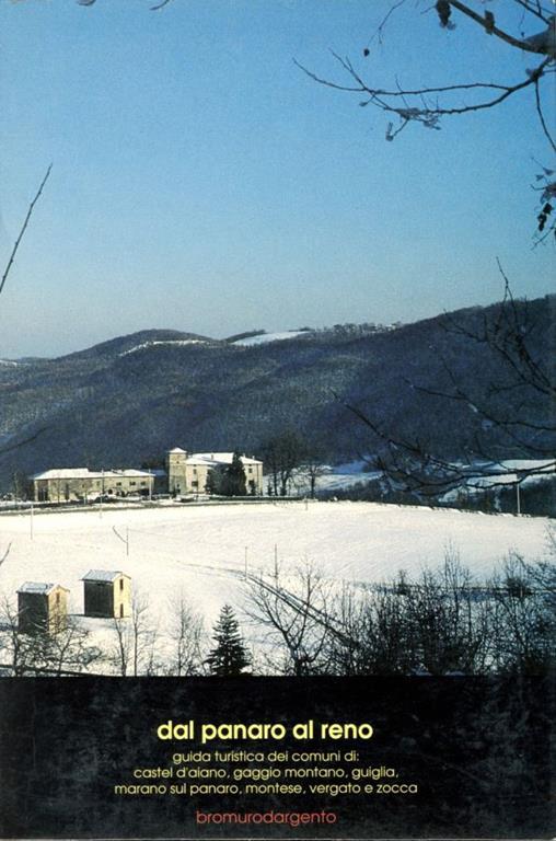 Dal Panaro al Reno - Autori Vari - copertina