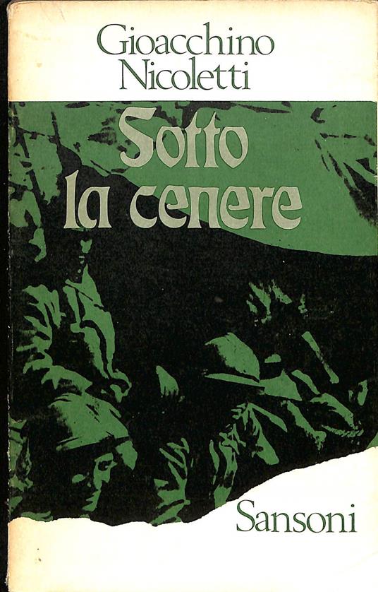 Sotto la cenere - Gioacchino Nicoletti - copertina