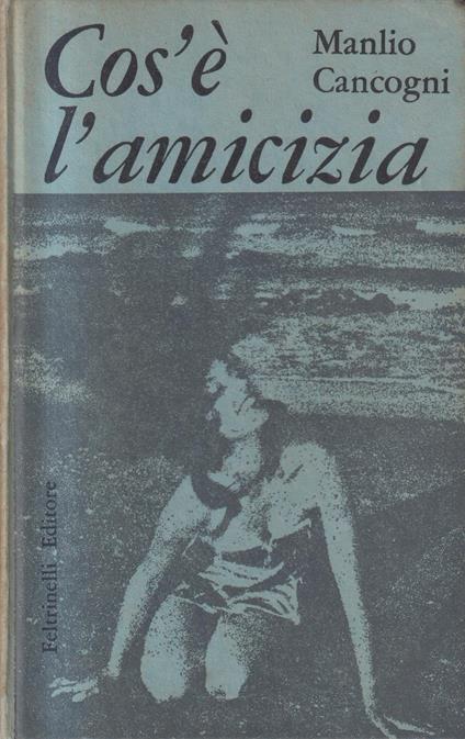 Cos'é l'amicizia - copertina