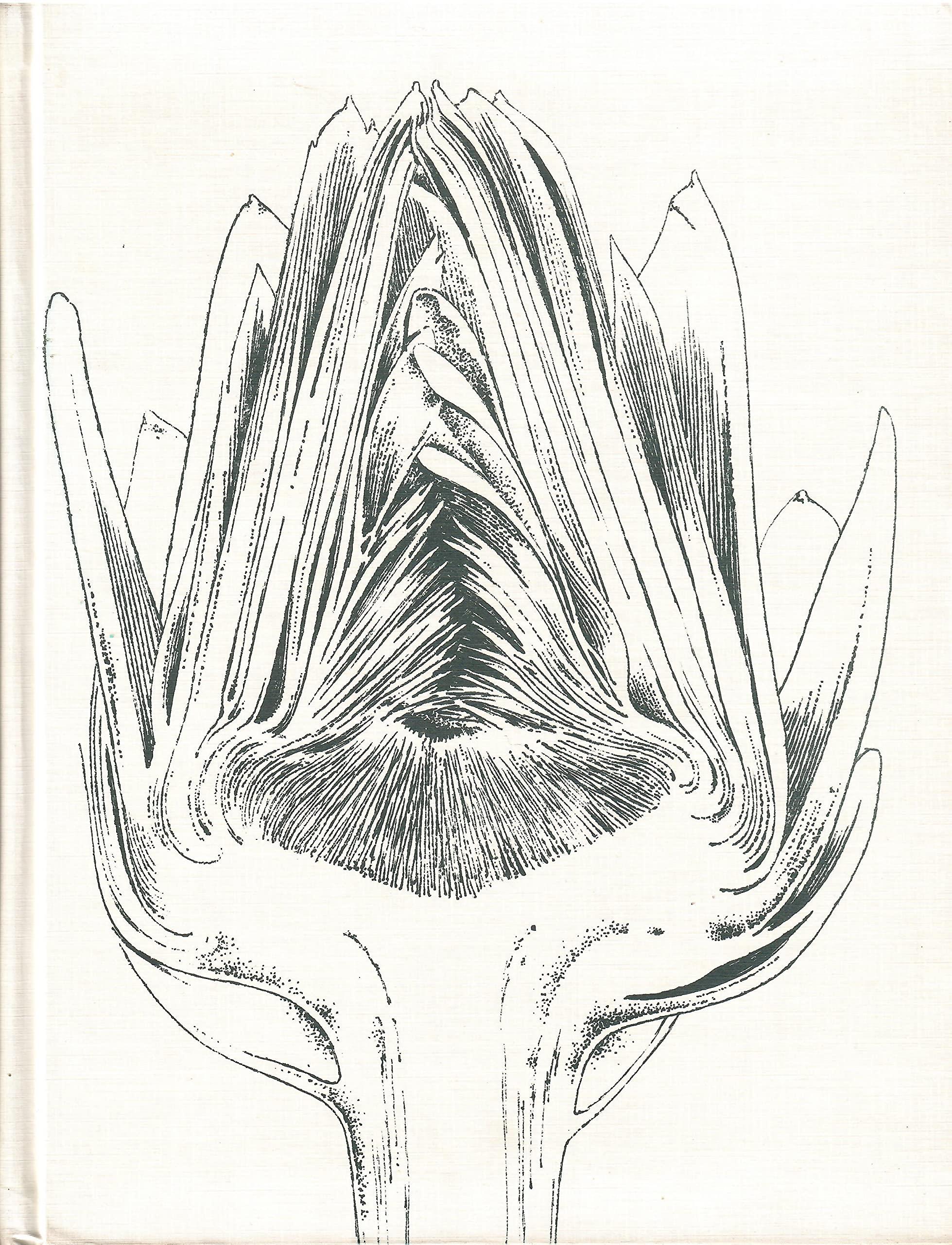 Libreria sottomarina