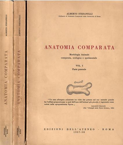 Anatomia comparata. Morfologia Animale comparata, ecologica e sperimentale 3 voll - Lamberto Stefanelli - copertina
