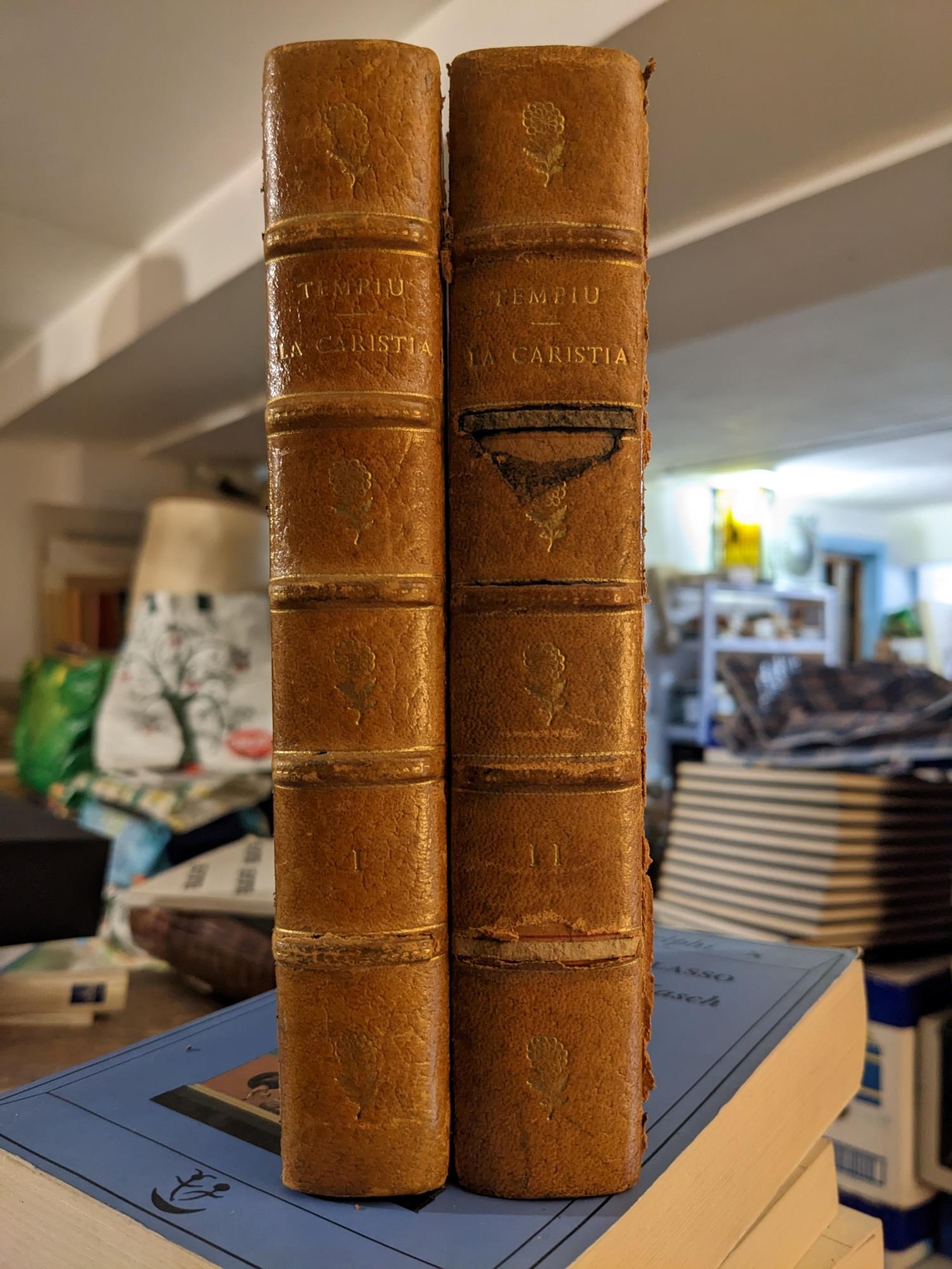 Libreria sottomarina