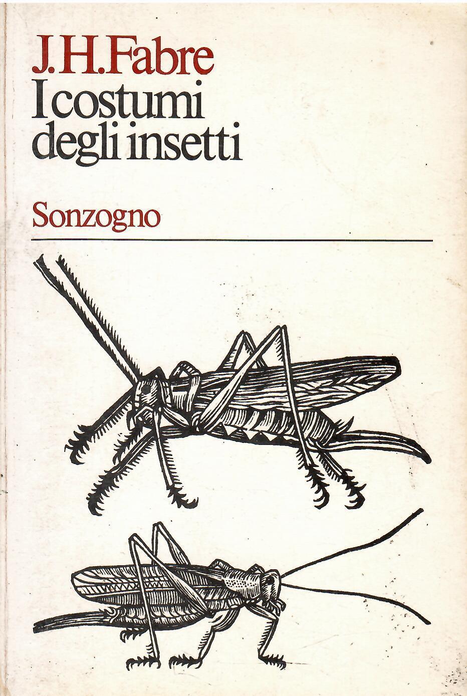 Libreria sottomarina