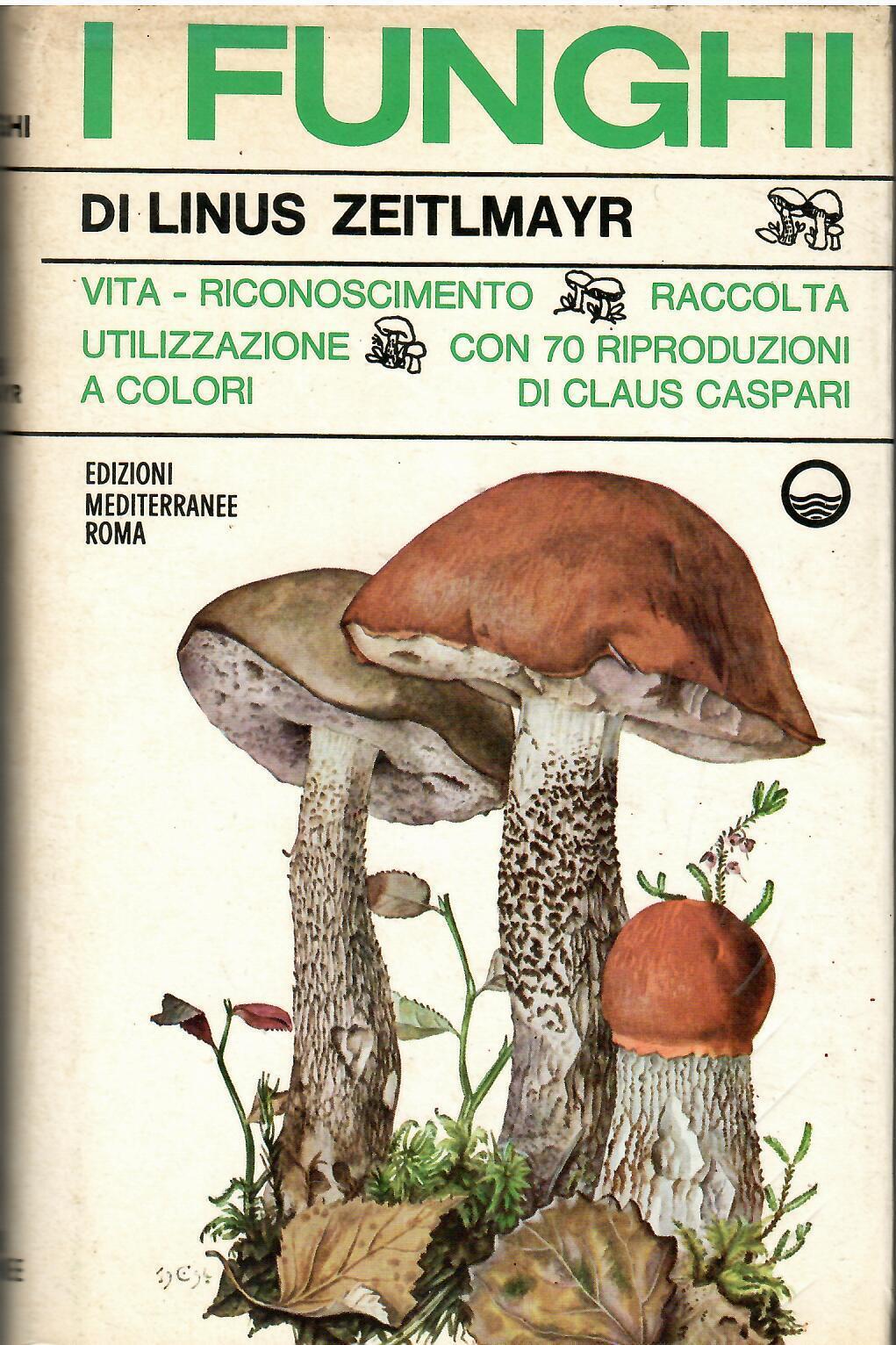 Libreria sottomarina