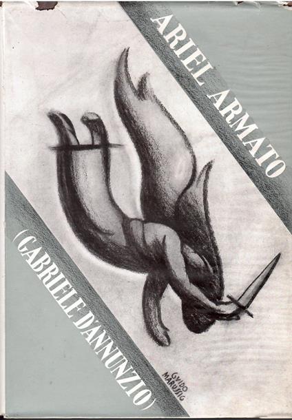 Ariel armato - Angelo Sodini - copertina