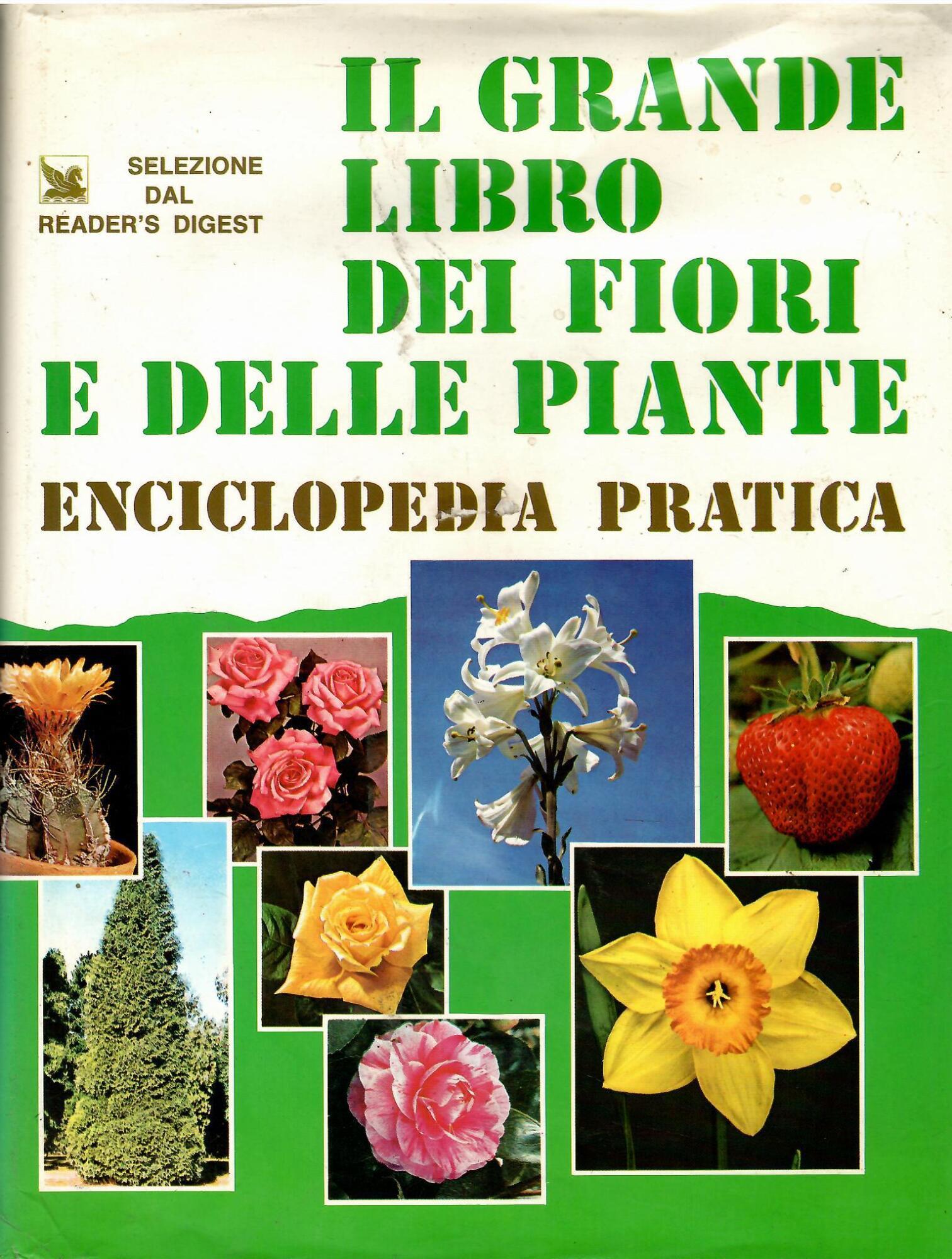 Libreria sottomarina