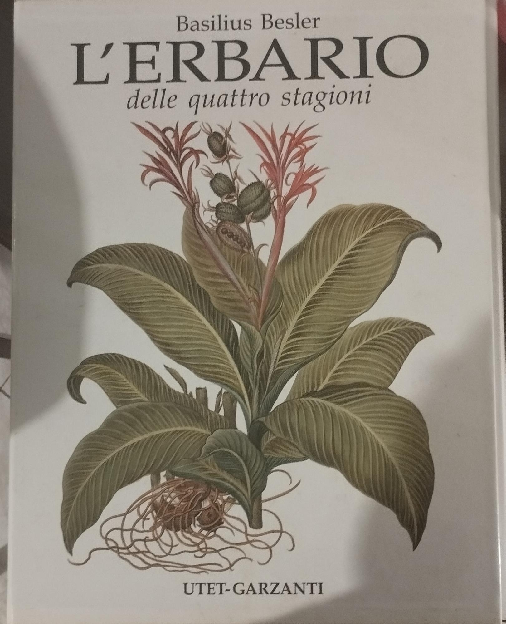 Libreria sottomarina