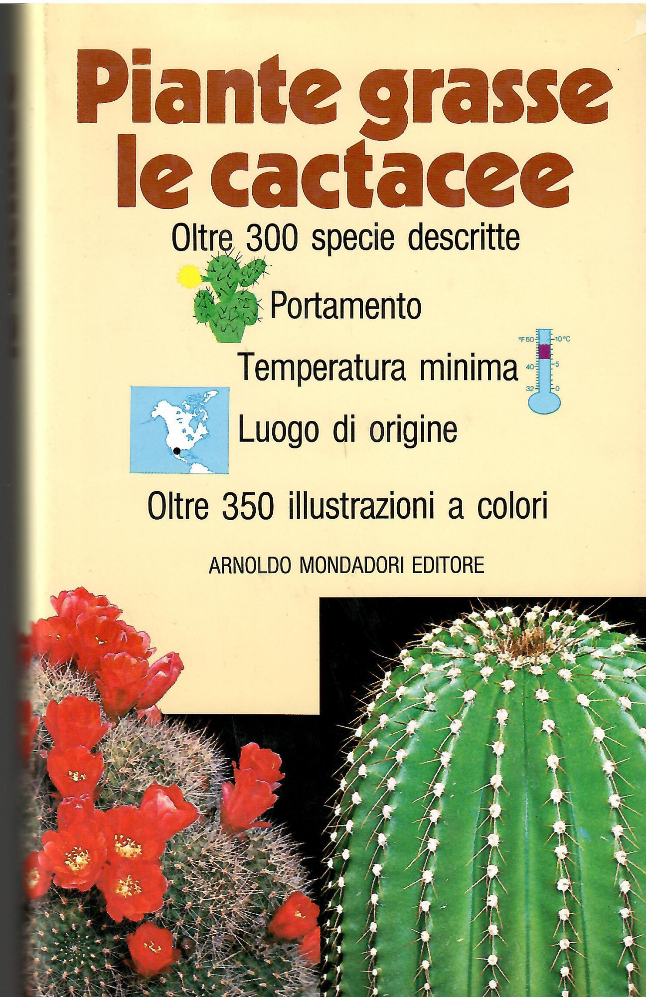 Libreria sottomarina