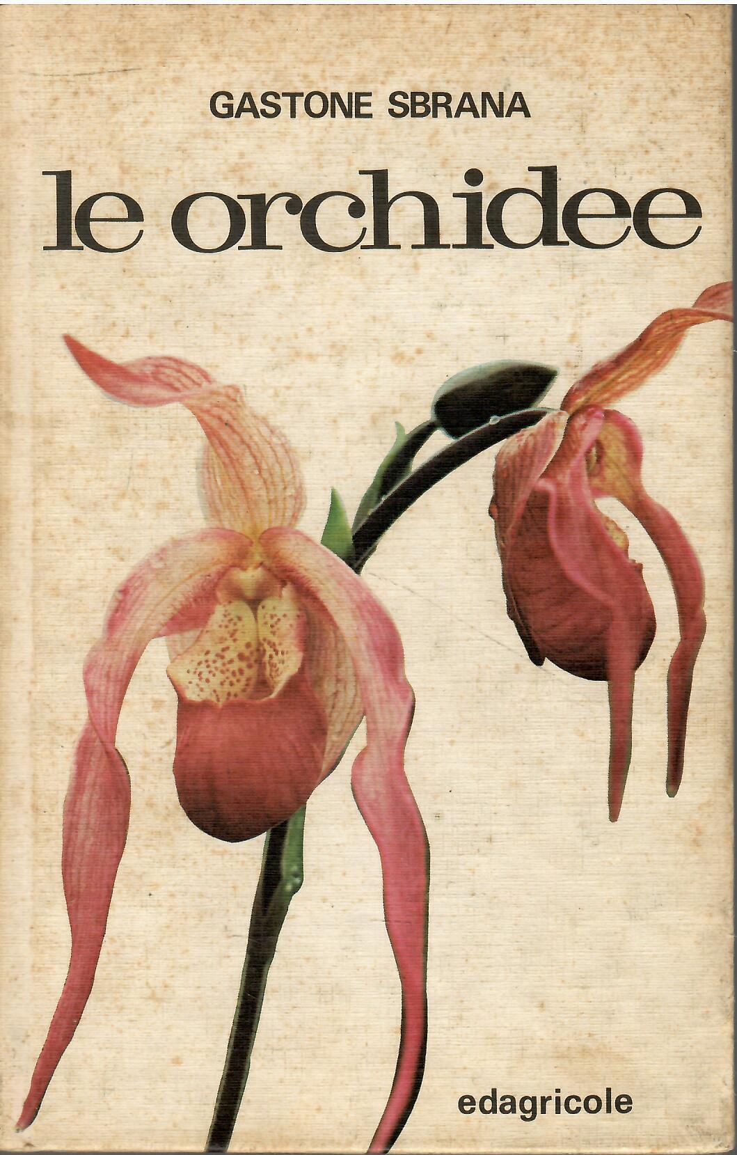 Libreria sottomarina