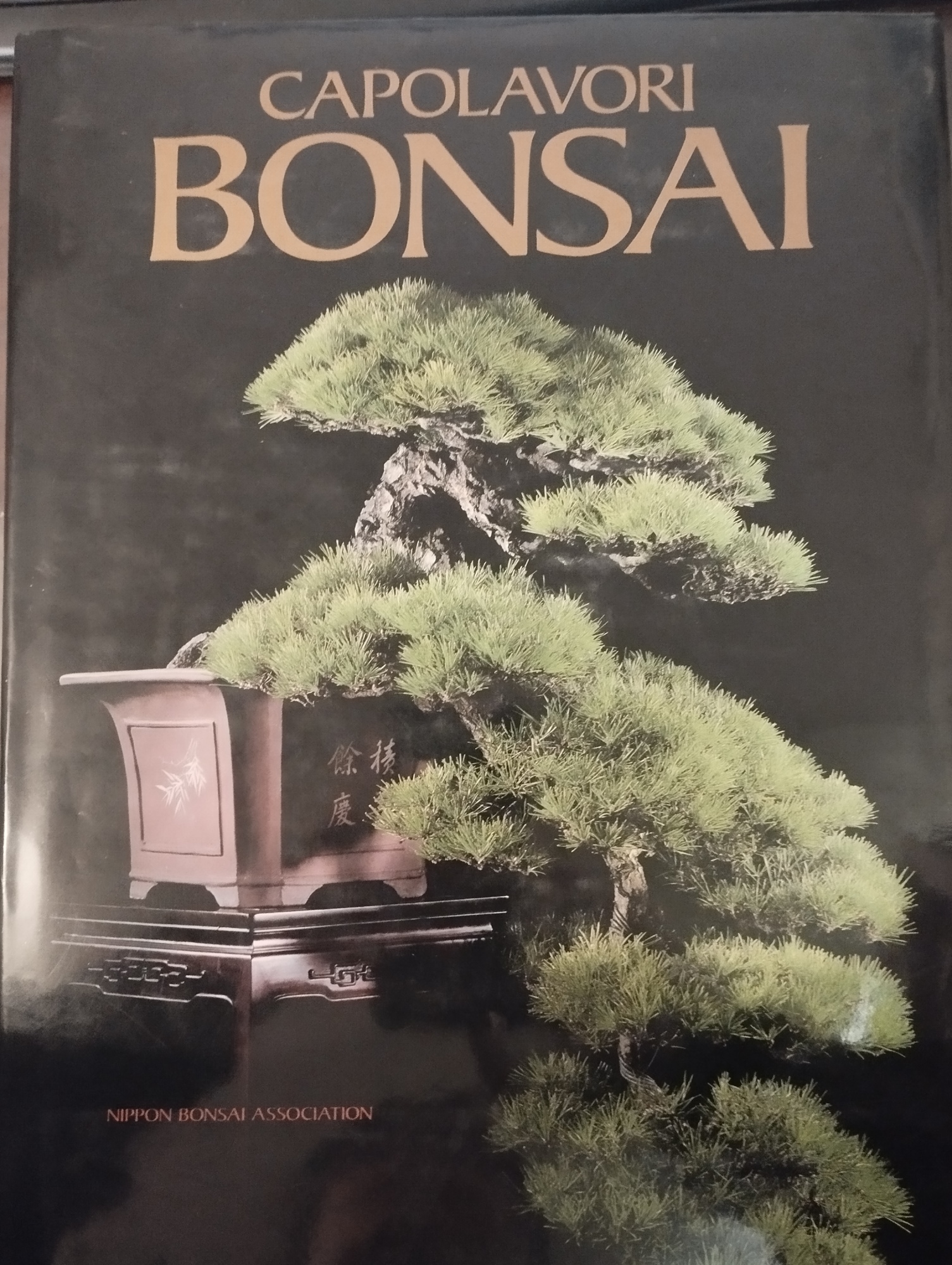 Libreria sottomarina