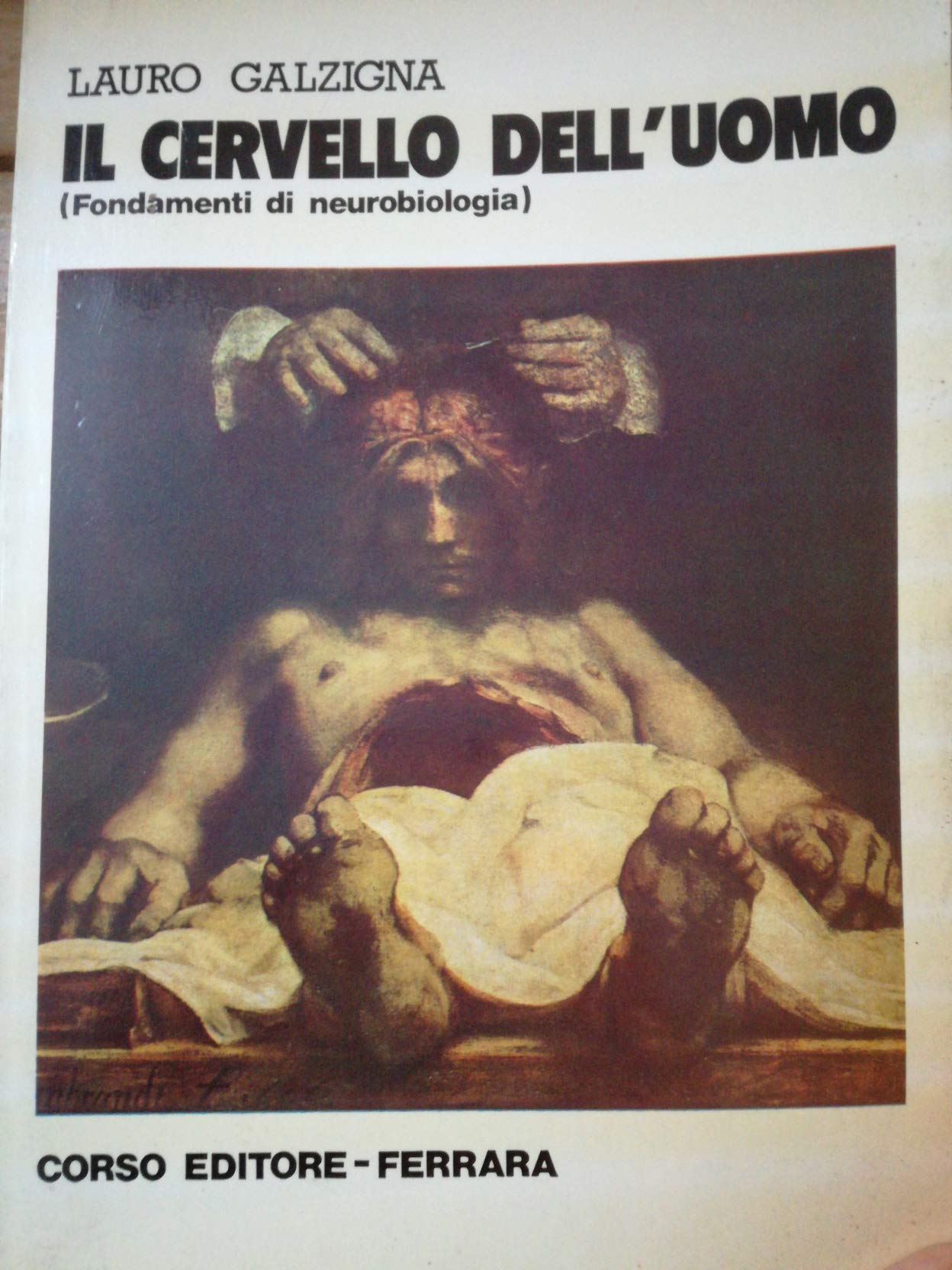 F.E.N. Libreria