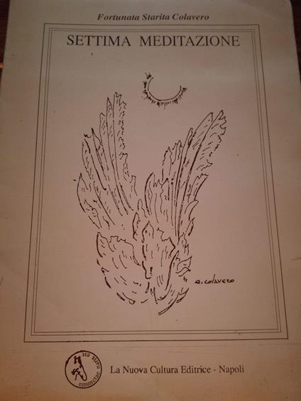 Settima Meditazione - copertina