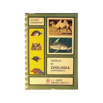 Tavole di zoologia ( Vertebrati ) - copertina