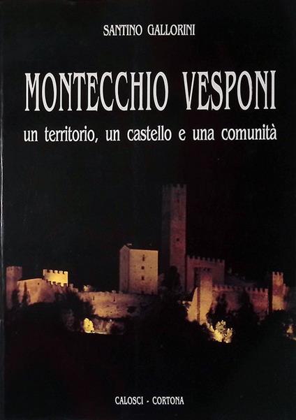 Montecchio Vesponi. Un territorio, un castello e una comunità - Santino Gallorini - copertina