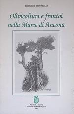 Olivicoltura e frantoi nella Marca di Ancona