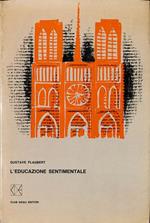 L' educazione sentimentale. Storia di un giovane