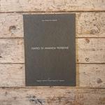 Diario di Amanda Perbene