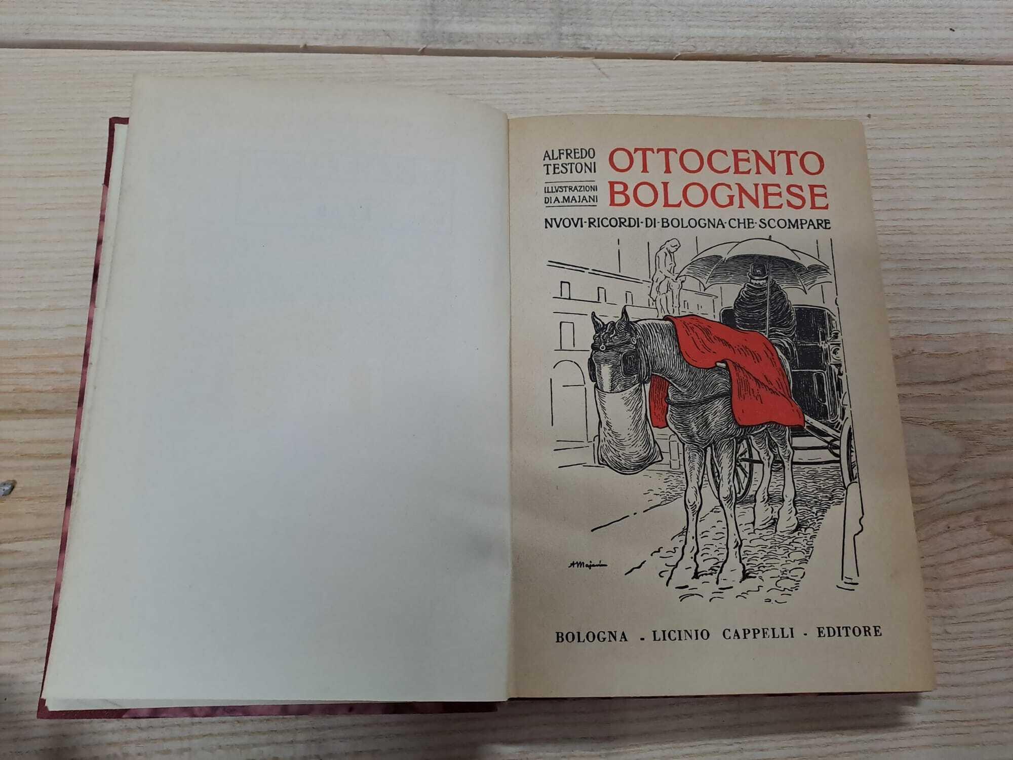 Ottocento Bolognese. Nuovi ricordi di Bologna che scompare