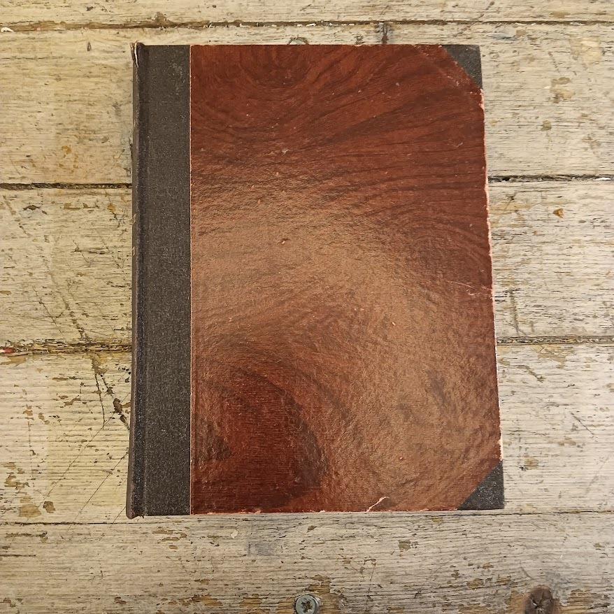 Sua maestà Don Chisciotte