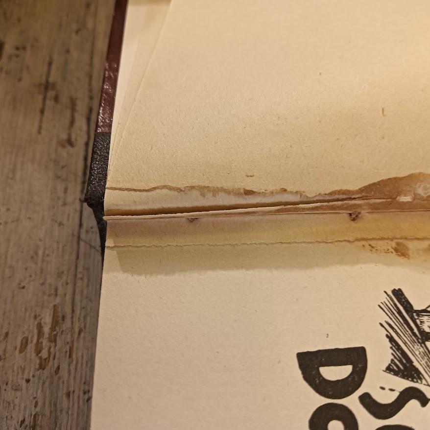 Sua maestà Don Chisciotte