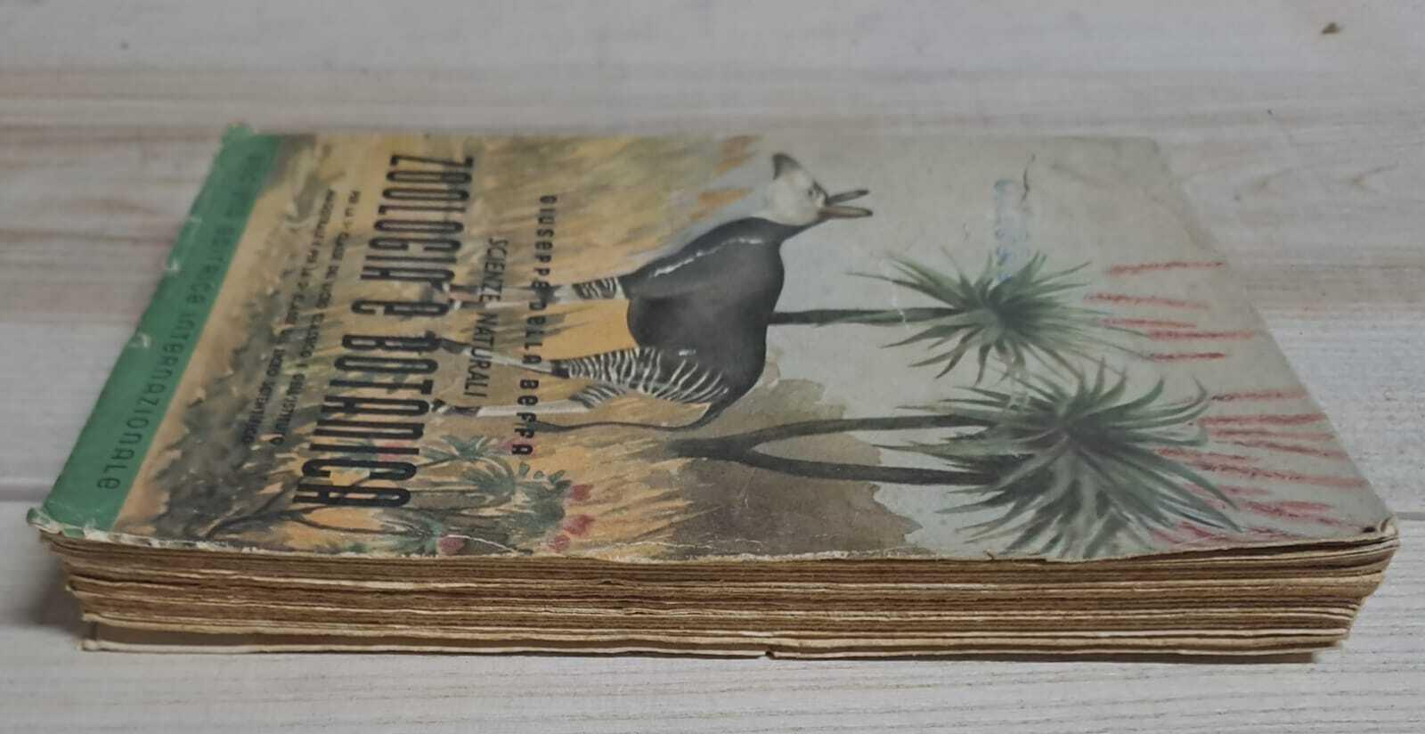 Scienze naturali. Zoologia e botanica