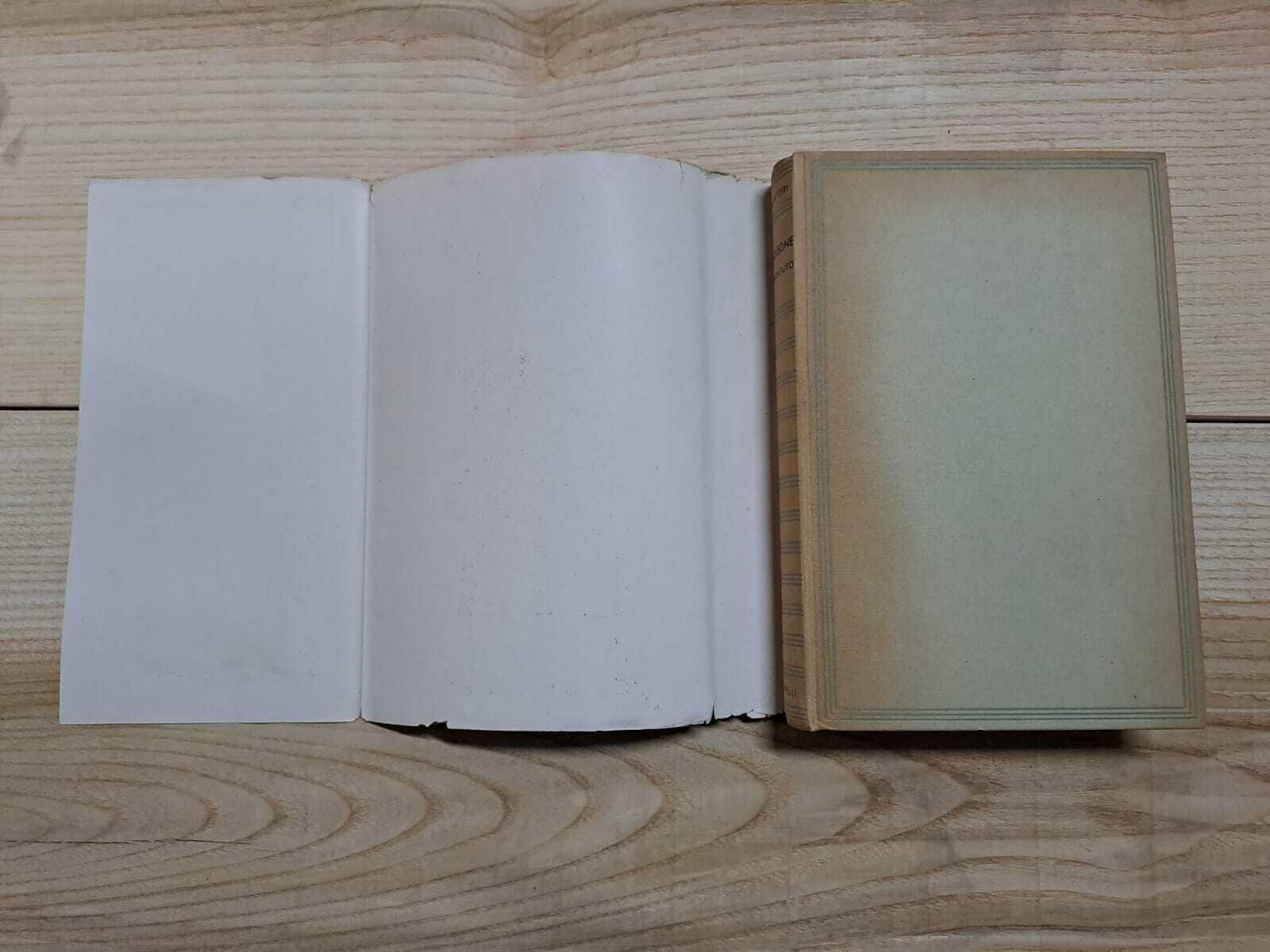 Napoleone Sconosciuto