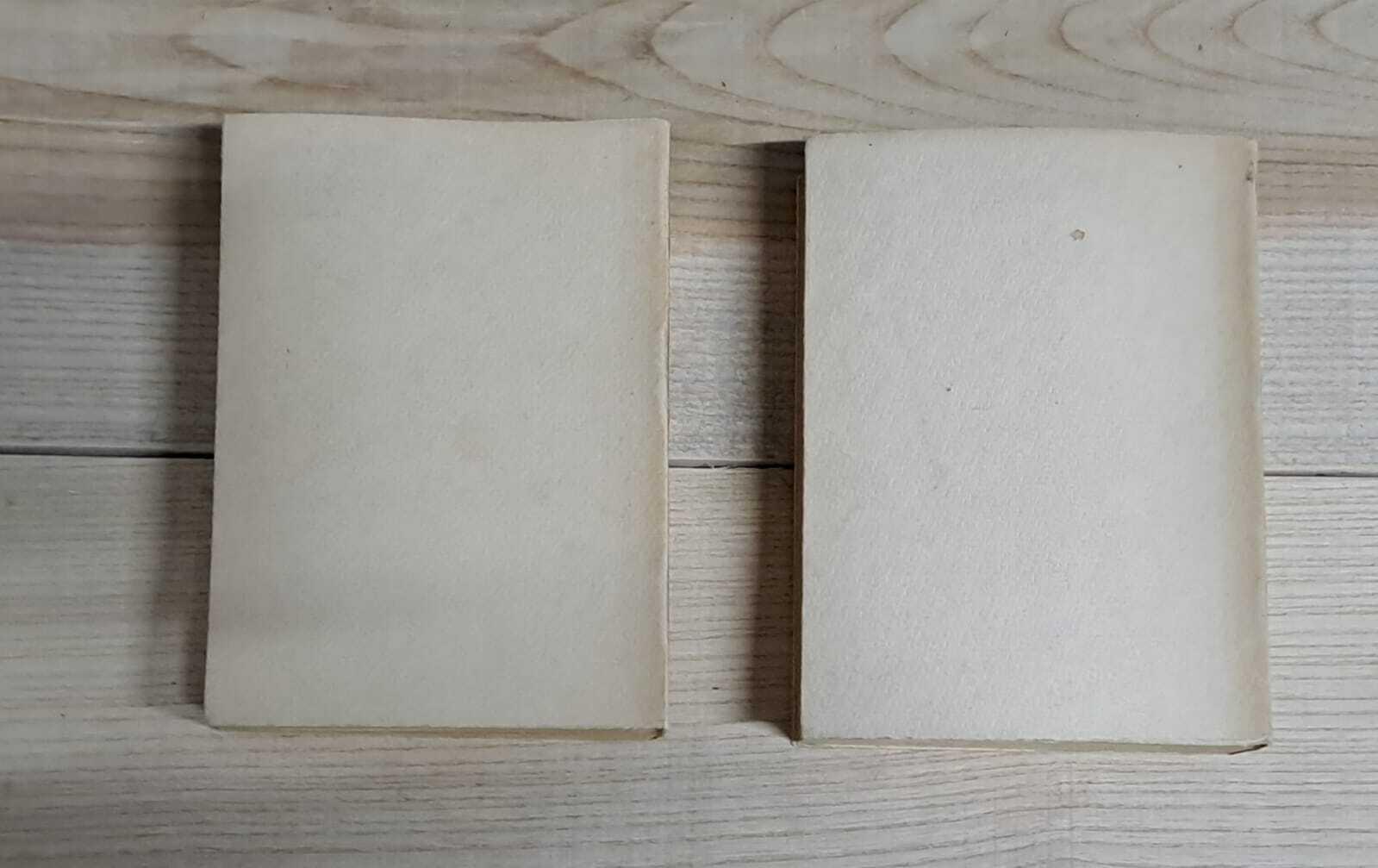 Memorie degli uomini illustri e clari in medicina del Piceno, o sia della marca di Ancona (2 vol.)