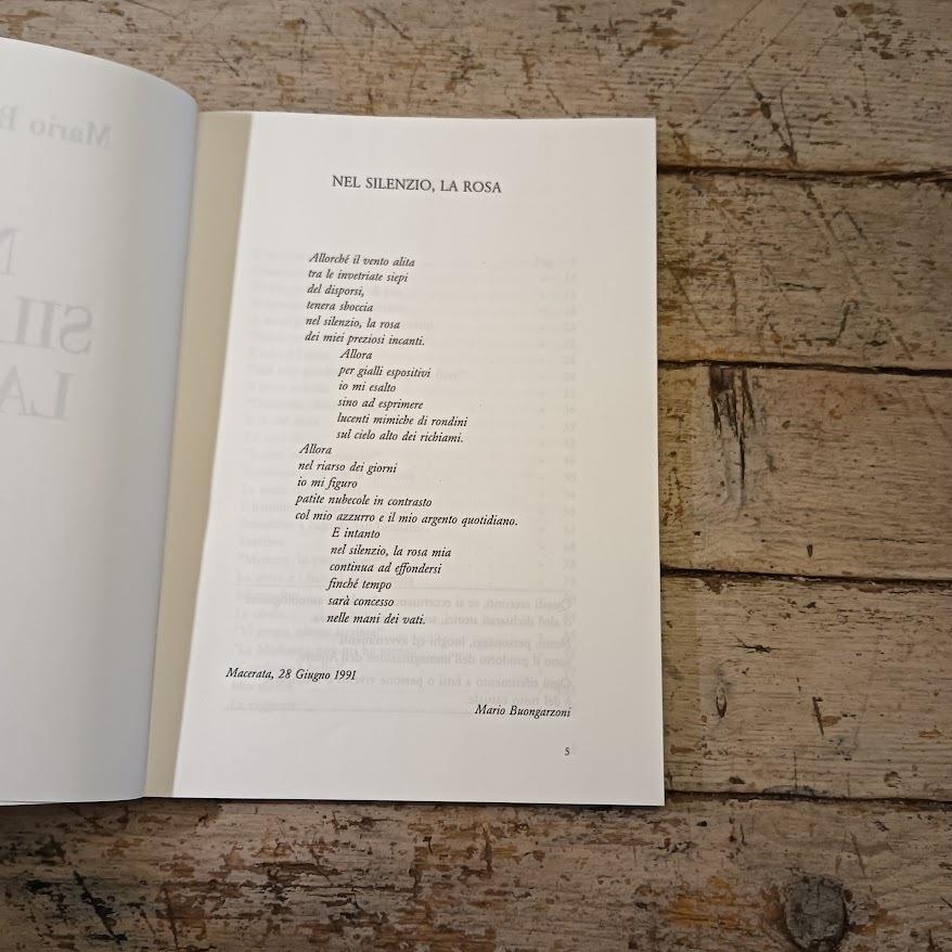 Nel silenzio la rosa. Racconti