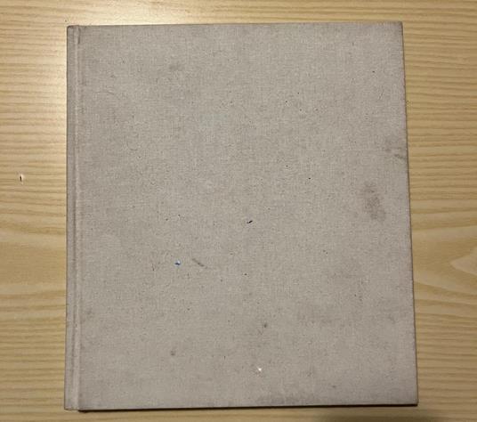 Guccione. Pastelli 1974-1996. A cura di Marco Goldin - copertina