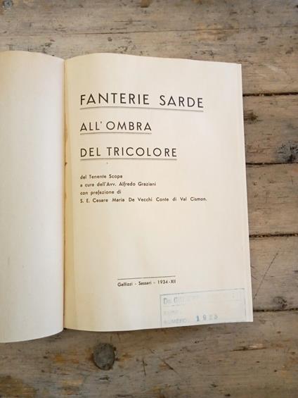 Fanterie sarde all'ombra tricolore - copertina