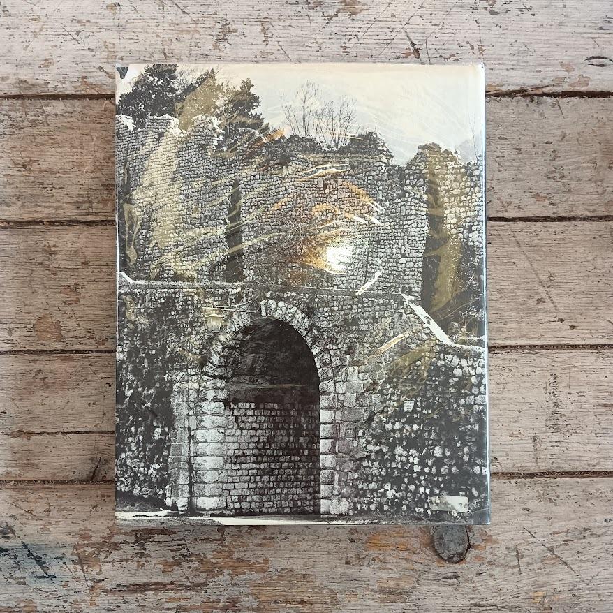 Venzone - Un volto da ricomporre