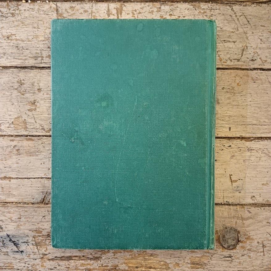 Libreria Catap Macerata