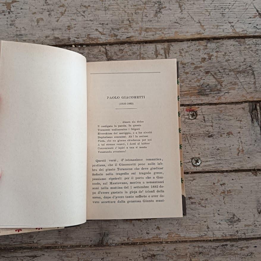 Polvere di palcoscenico