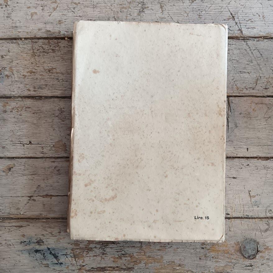 Saggi politici e letterari