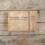 Ortaggi e fiori. Guida pratica per la coltivazione