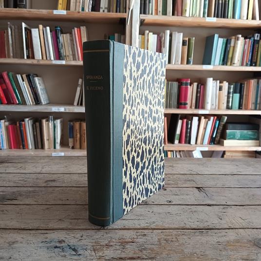 Il Piceno - Giuseppe Speranza - copertina