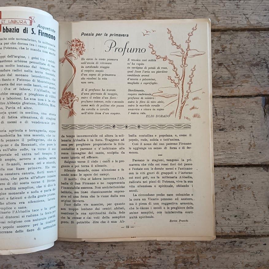 Il Picchio. Almanacco Strenna Maceratese