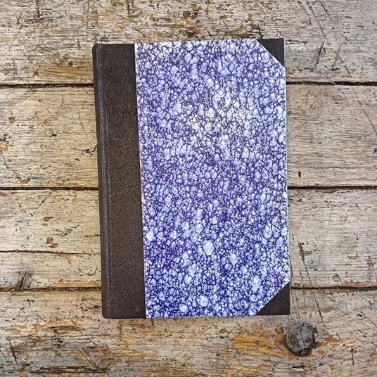 Plenilunio allo zoo - Ezio D'Errico - copertina