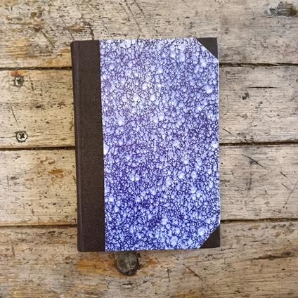 Manicomio - Patrick Quentin - copertina