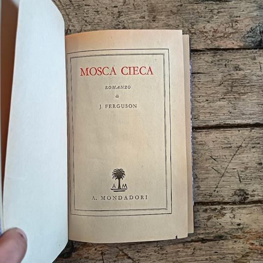 Mosca cieca - copertina