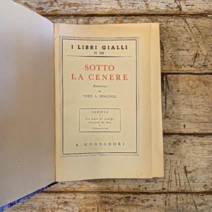 Sotto la cenere - copertina
