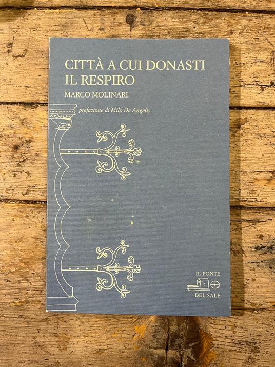 Città a cui donasti il respiro - copertina