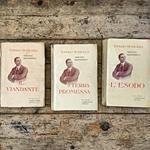 Trilogia drammatica: Il viandante - La terra promessa - L'esodo (3 voll.)