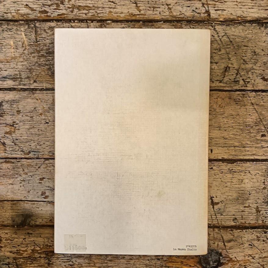 Sintesi di storia della letteratura italiana