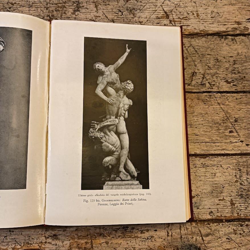 Saper vedere. Come si guarda un'opera d'arte