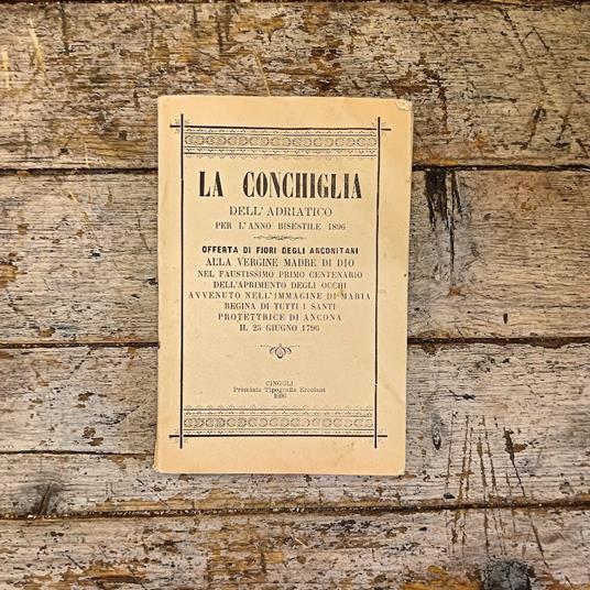 La Conchiglia dell'Adriatico per l'anno bisestile 1896. Offerta di fiori degli anconitani alla Vergine Madre di Dio nel faustissimo primo centenario dell'aprimento degli occhi avvenuto nell'immagine di Maria Regina di tutti i aanti protettrice di Anc - copertina