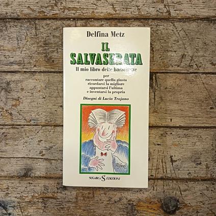 Il salvaserata - Delfina Metz - copertina