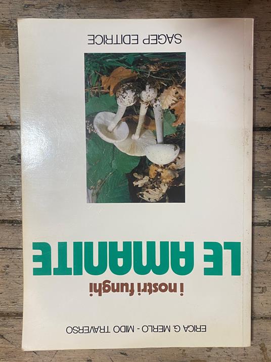 I nostri funghi, Le amanite - Erica G.Merlo - copertina